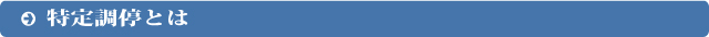 特定調停とは